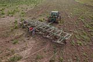 10 Fallow Master Orthman